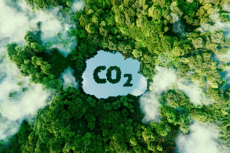 SOPREMA, 1er acteur de la filière à informer ses clients sur l’impact carbone de ses commandes !